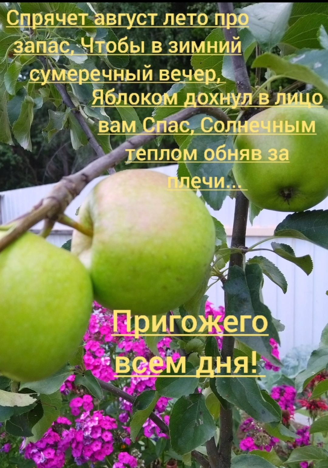 ВИМНИй меречный вечер дрзчет_авгмст лето Ёд запасЧтобь
