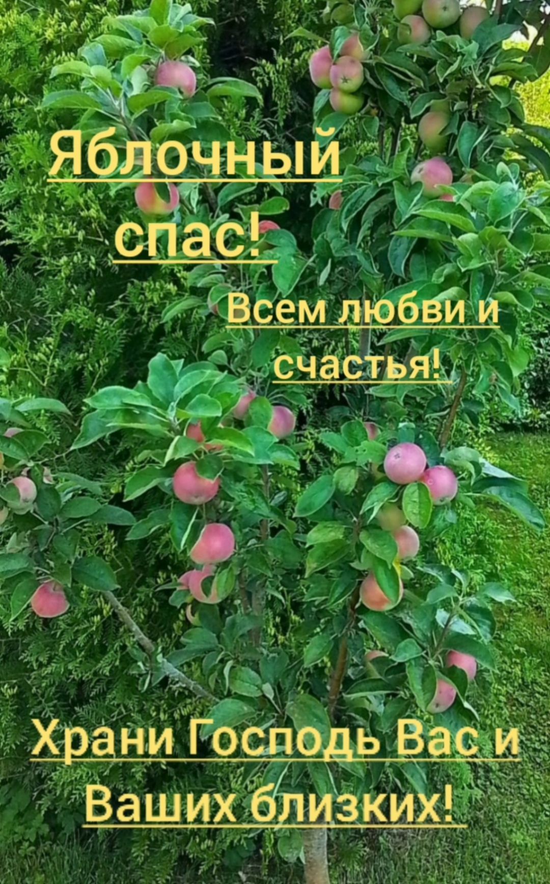 ве ш __7 _ ЕУМЛ чддэпёбаги А яж