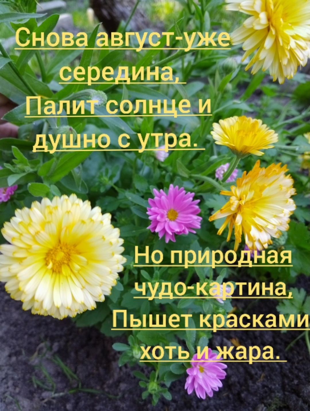 ч ШНО С Ноп и о к тина Пьчяшетк асками хоть