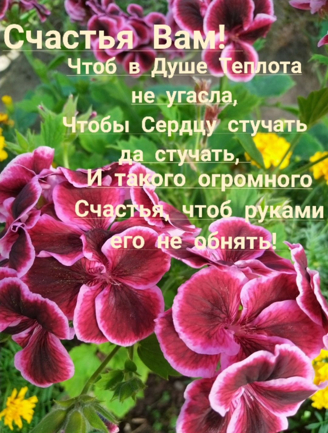 не Уга чН Звы Сердцу стуча Эъ