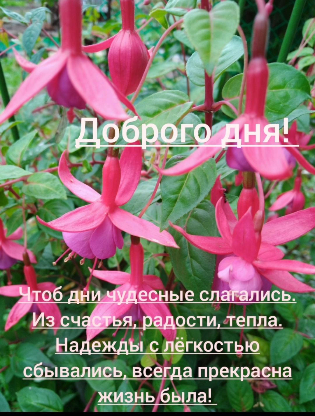 А фывапщдь всеща прекрасна В жЩньЬыла