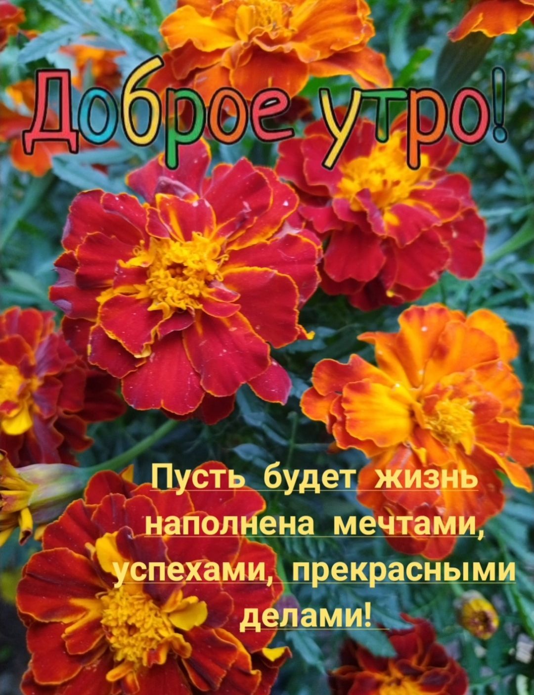 изнь Ж Уд 26 Лист 5 ъНаП9л69на