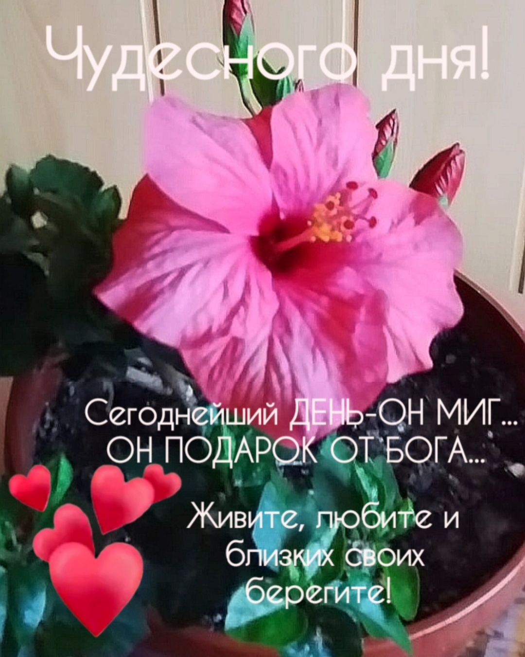 Живитегробити бпизті бОИХ берегите