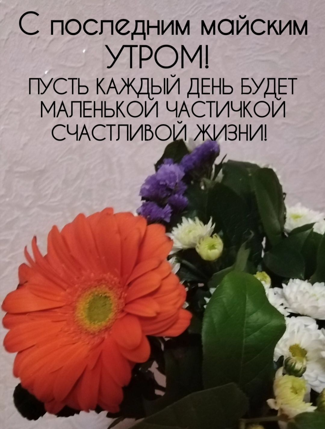 С последним майским УТРОМ ПУСТЬ КАЖДЫЙ ДЕНЬ БУДЕТ МАПЕНЬКОИ ЧАСТИЧКОИ СЧАСТПИБО 3НИ