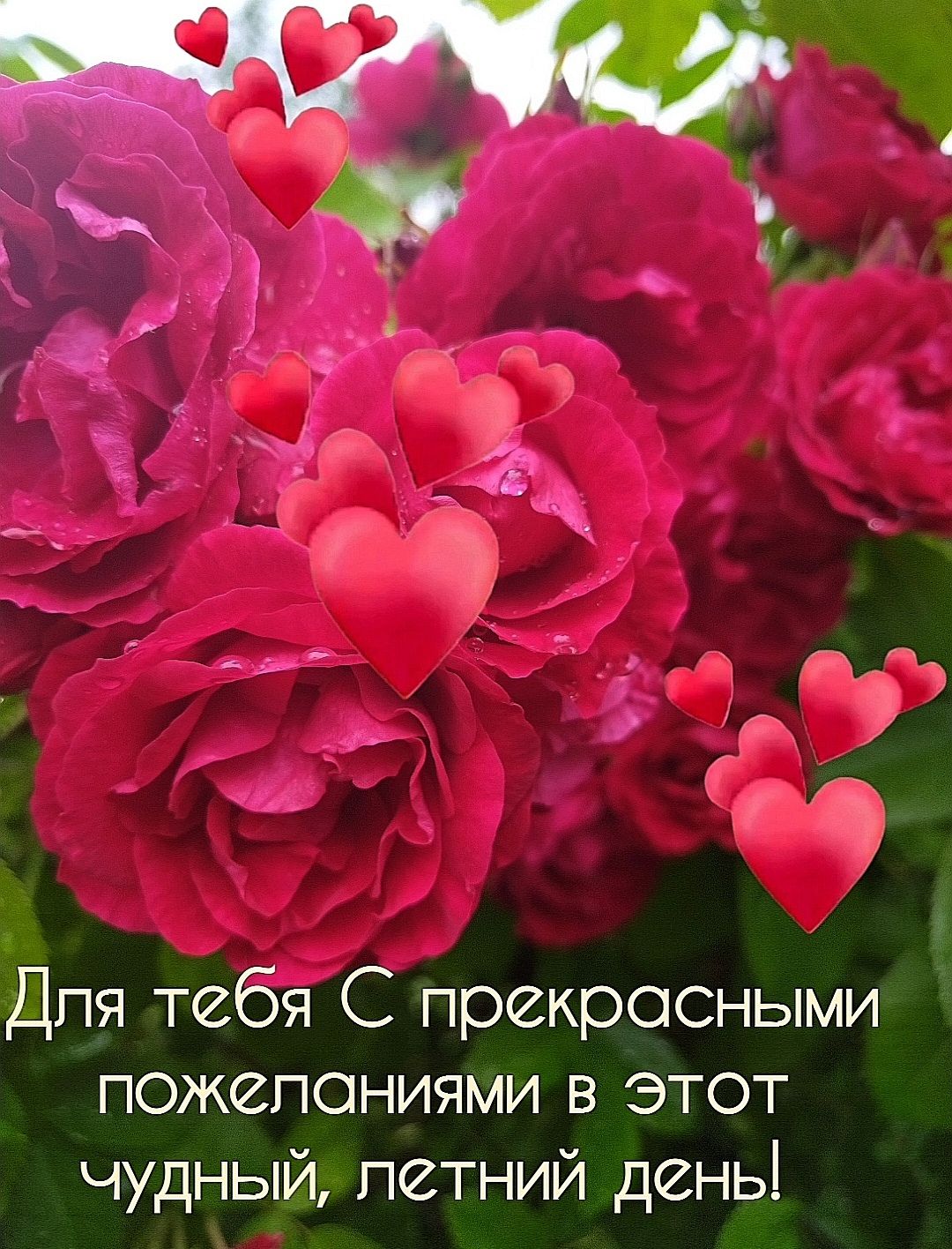 Для тебя С прекрасными пожеланиями в этот чудный летний день