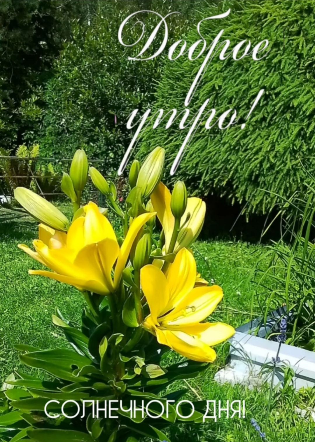 _ мч ТЁДНЖ СбгінЁч