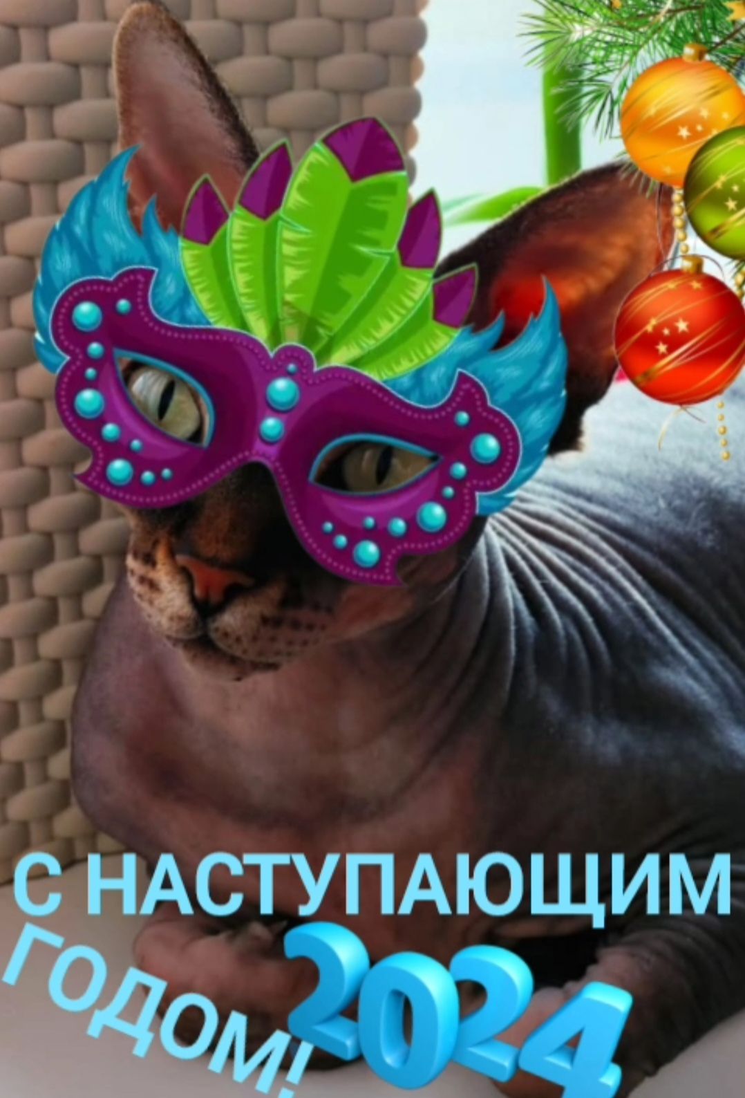 С НАСТУПАЮЩИМ ті
