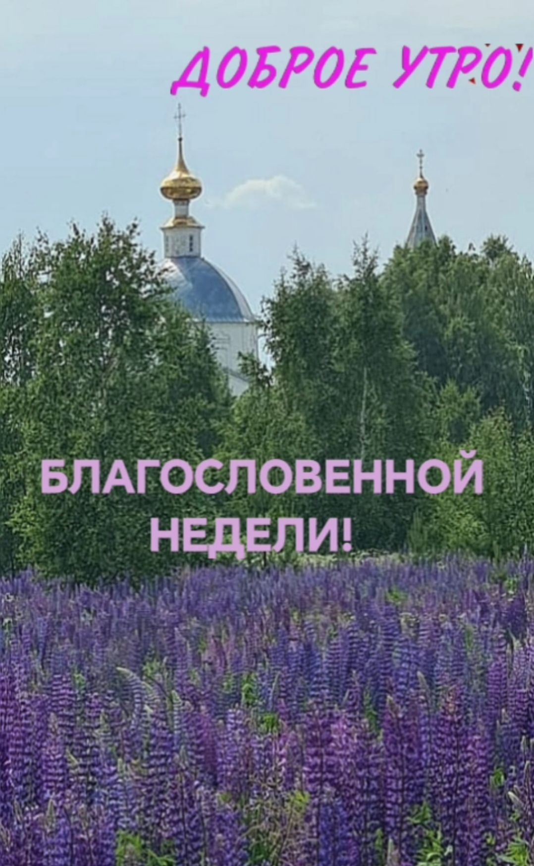 ДОБРОЕ УТРО БЛАгосповенной НЕДЕЛЮ