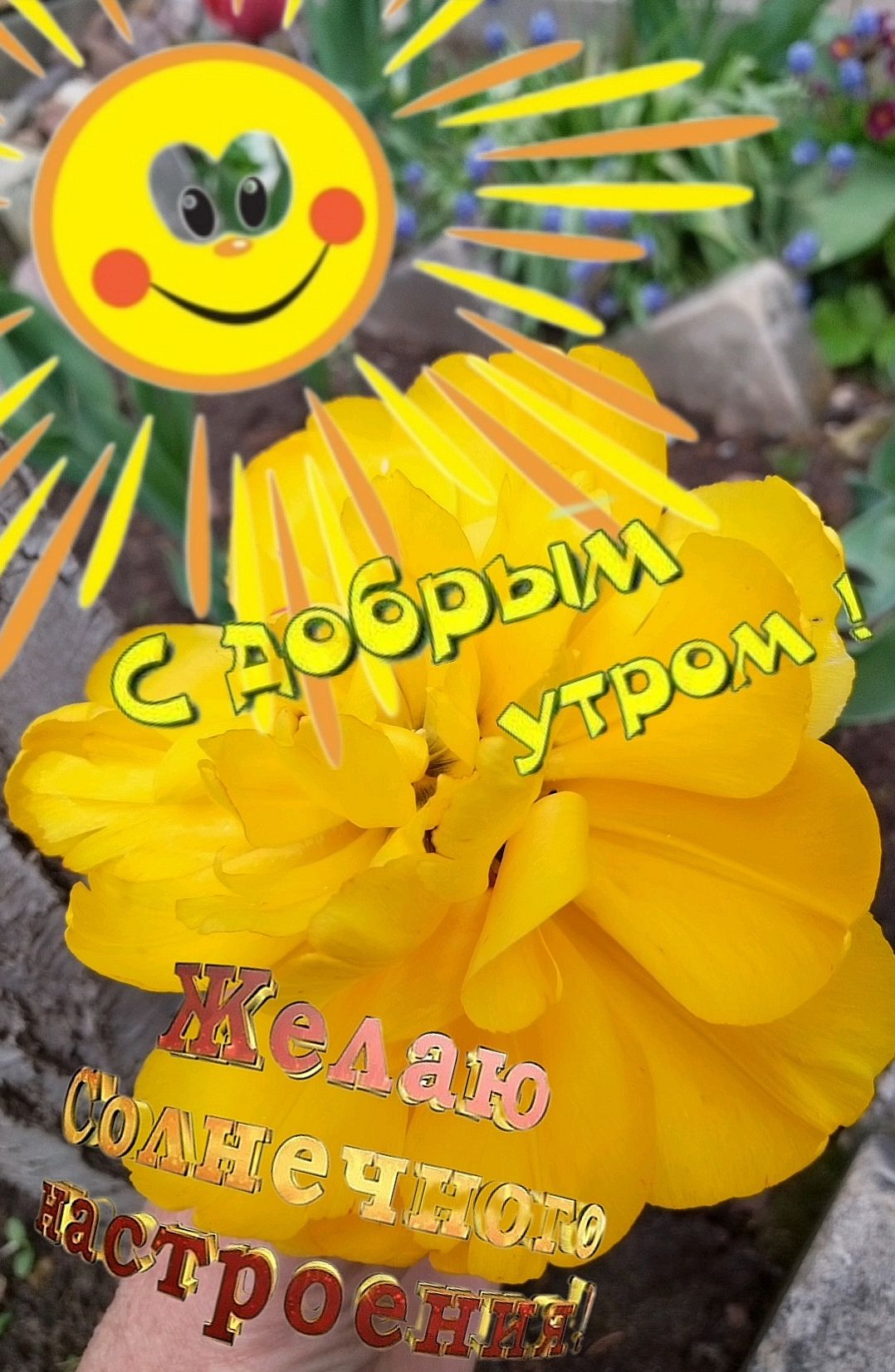 С добрым утром! Желаю солнечного настроения!