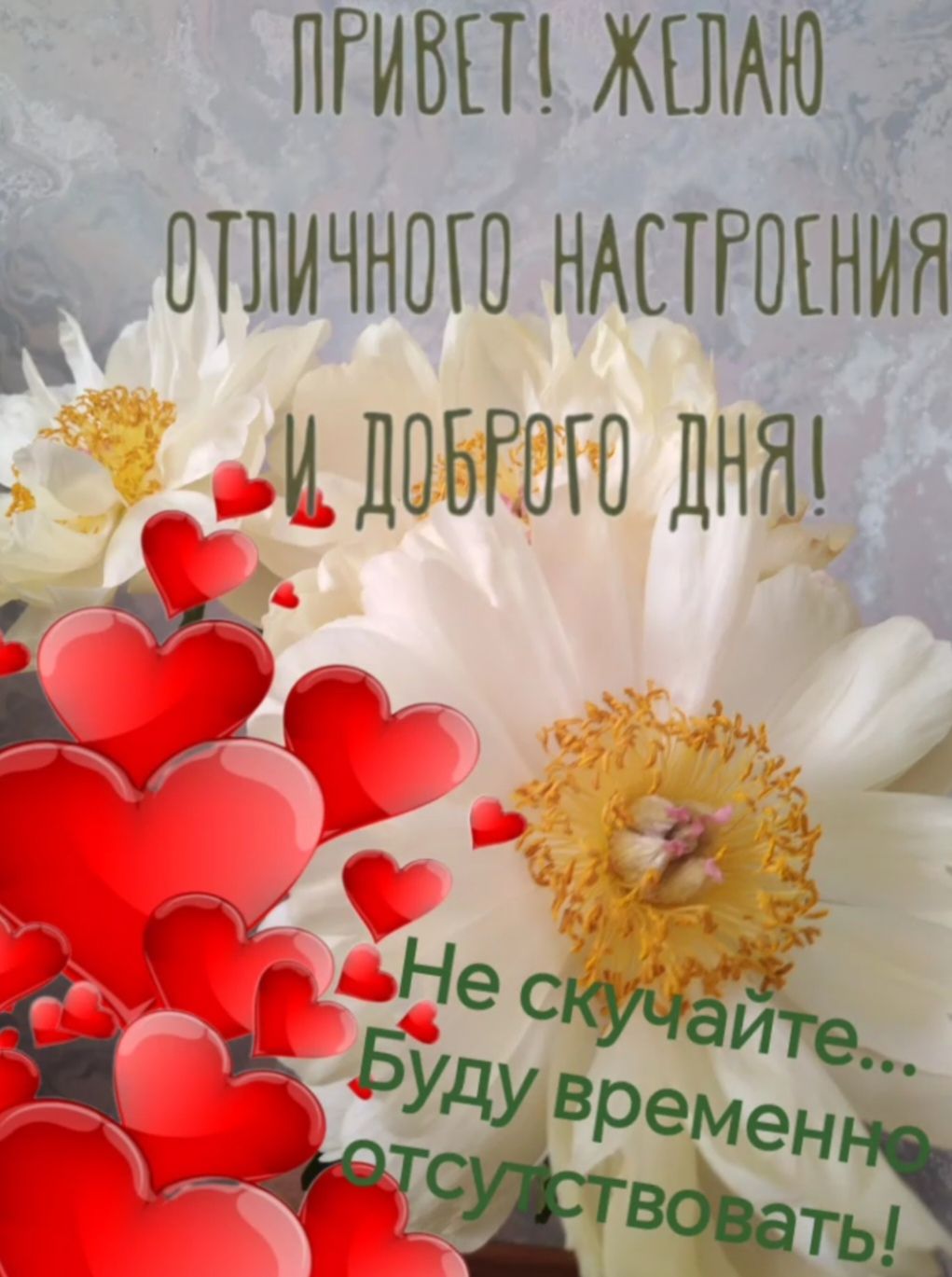 ПРИВЕТ! ЖЕЛАЮ отличного настроения И ДОБРОГО ДНЯ! Не скучайте... Буду временно отсутствовать!