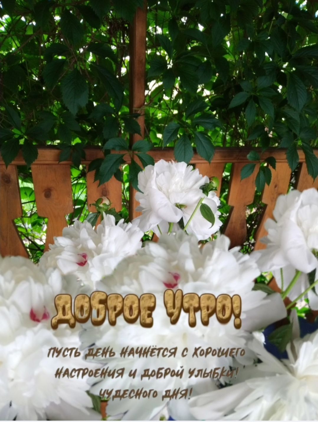 ДОБРОЕ УТРО!
ПУСТЬ ДЕНЬ НАЧНЁТЕСЯ С ХОРОШЕГО НАСТРОЕНИЯ И ДОБРОЙ УЛЫБКИ! ЧУДЕСНОГО ДНЯ!