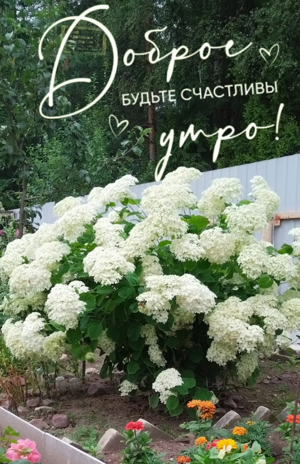 Доброе утро! Будьте счастливы
