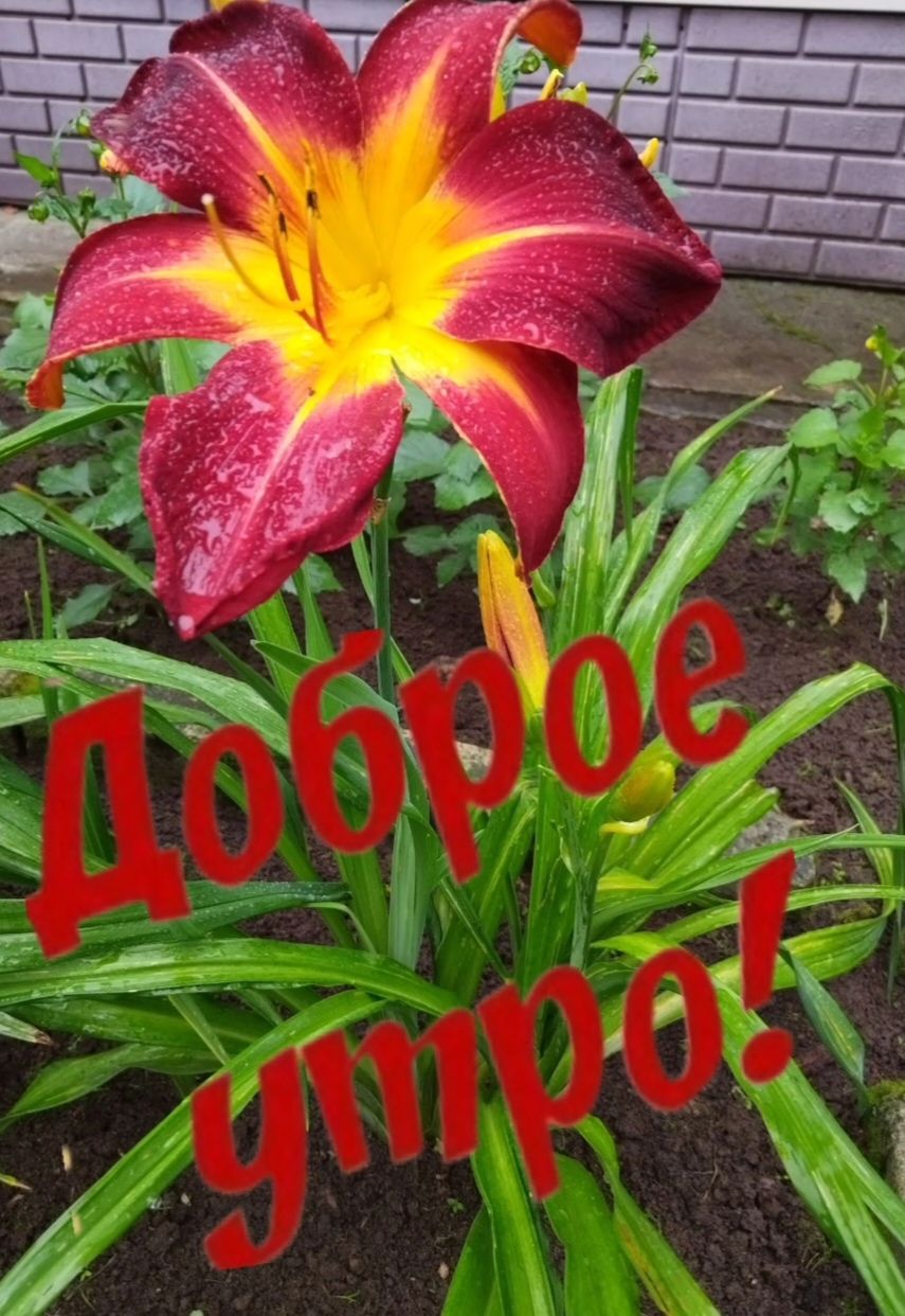 Доброе утро!