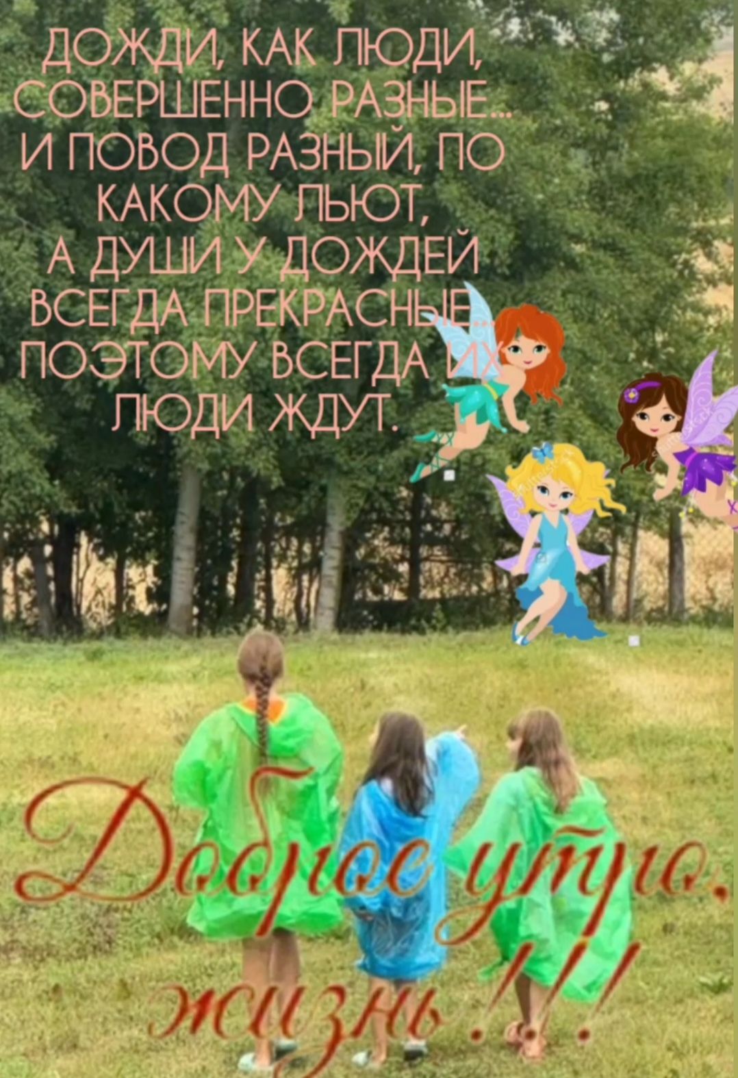 Дожди, как люди, совершенно разные, и повод разный, по какому льют, а души у дождей всегда прекрасные, поэтому всегда люди ждут.
Доброе утро, жизнь !!!