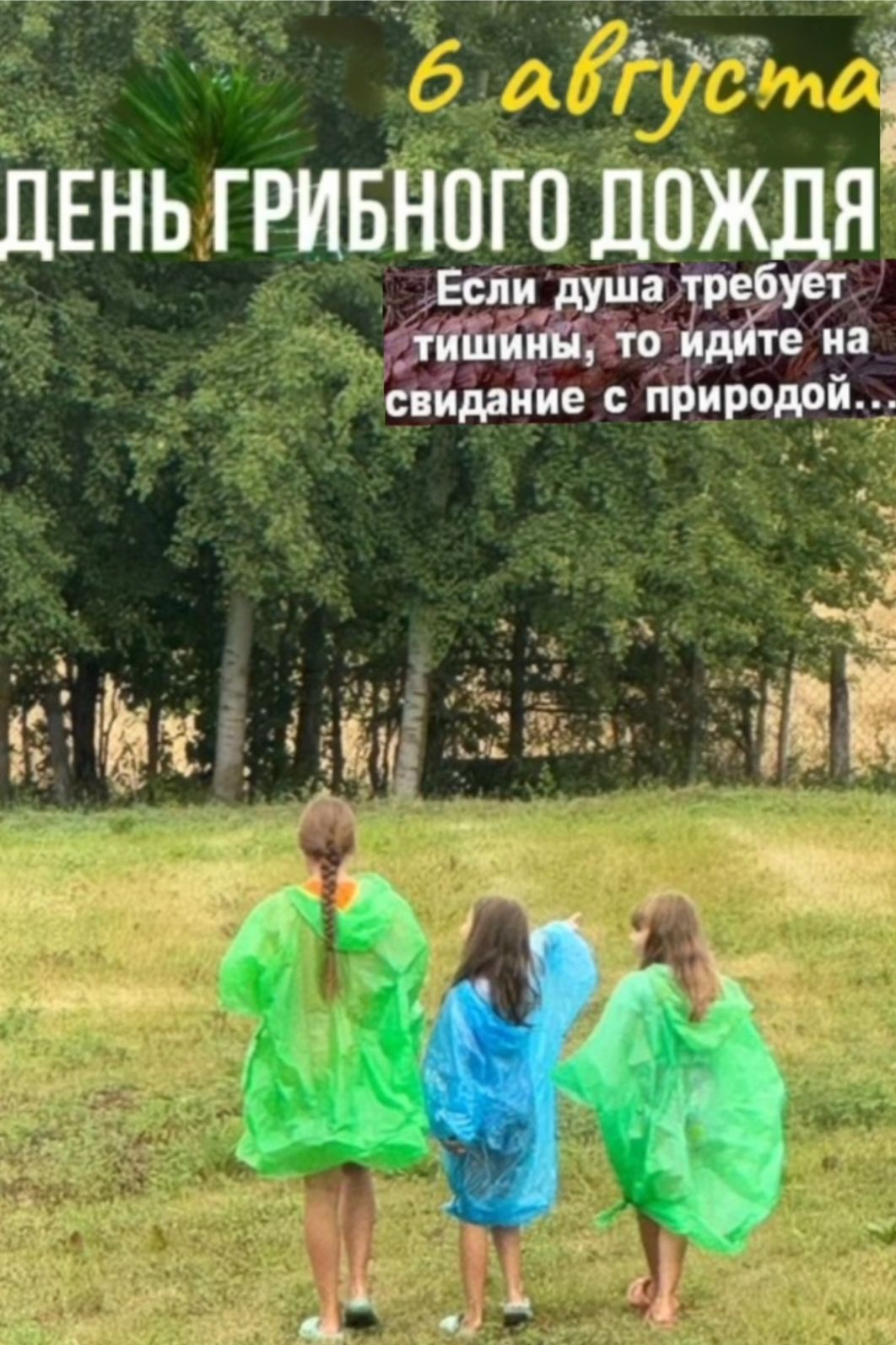 6 августа
День грибного дождя
Если душа требует тишины, то идите на свидание с природой...