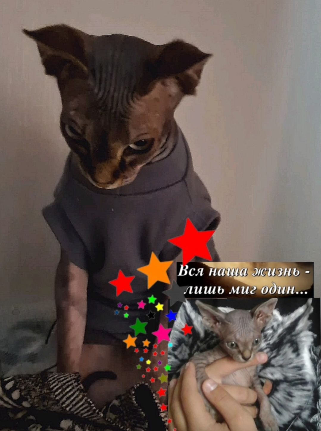 Вся наша жизнь - лишь миг один...