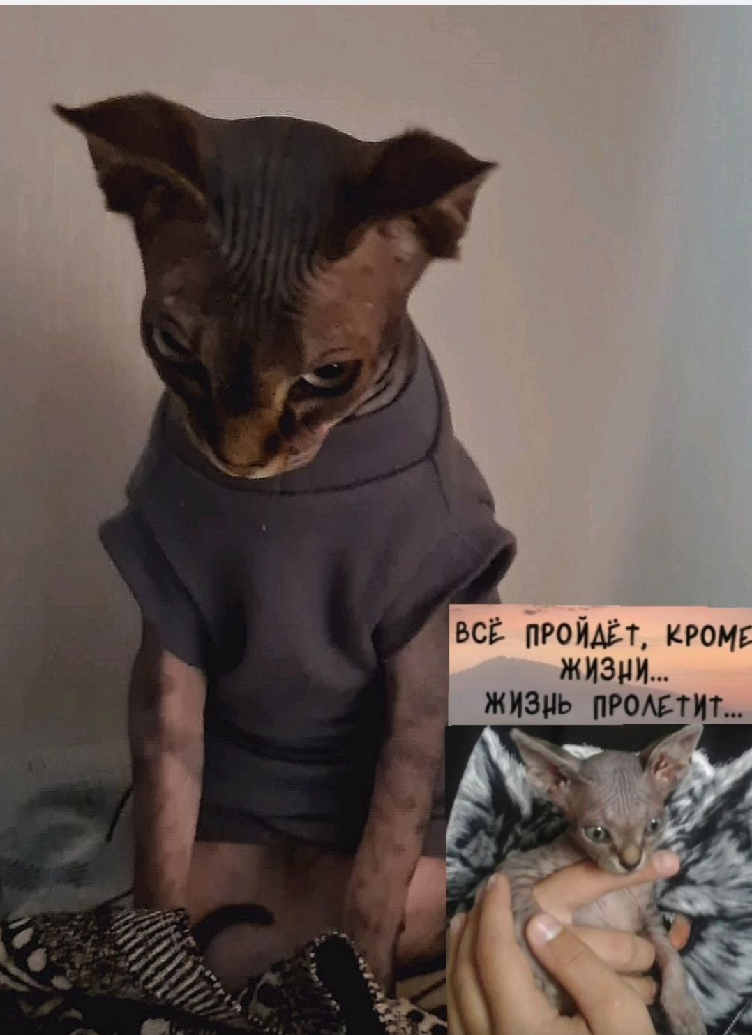 ВСЁ ПРОЙДЁТ, КРОМЕ ЖИЗНИ... ЖИЗНЬ ПРОЛЕТИТ...