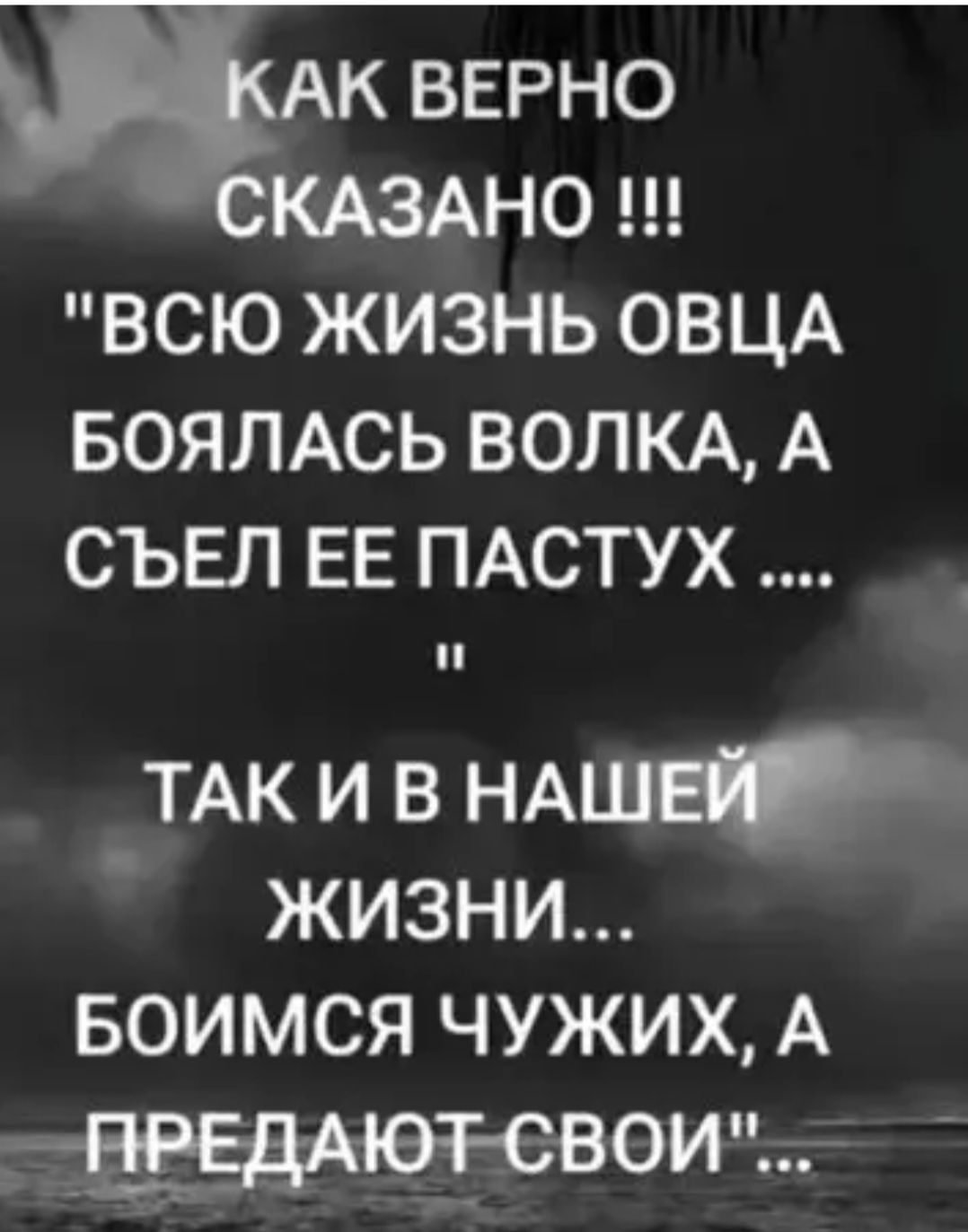 КАК ВЕРНО СКАЗАНО !!! 