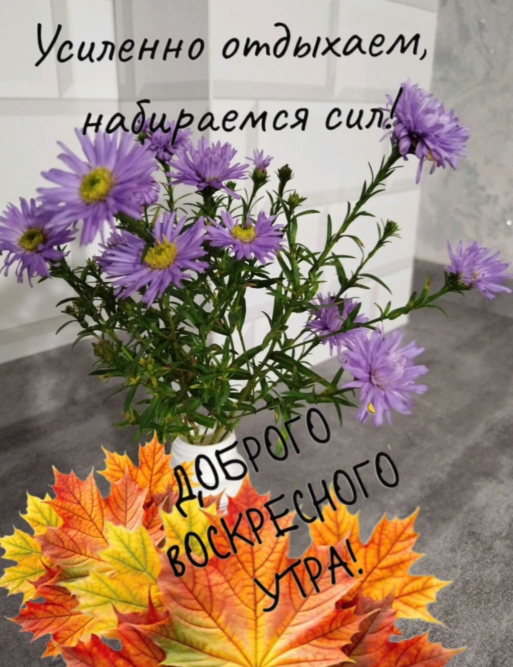 Усильно отдыхаем, набираемся сил. Доброго воскресного утра!