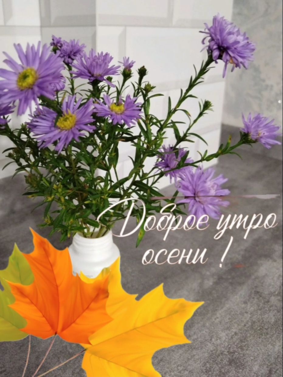 Доброе утро осени!