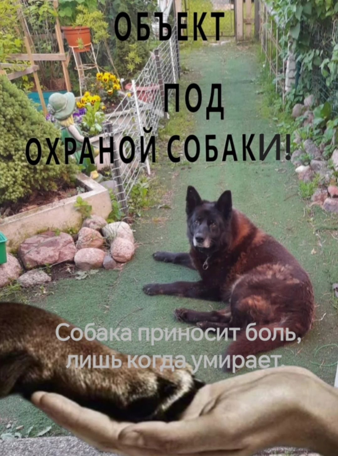 ОБЪЕКТ ПОД ОХРАНОЙ СОБАКИ! Собака приносит боль, лишь когда умирает