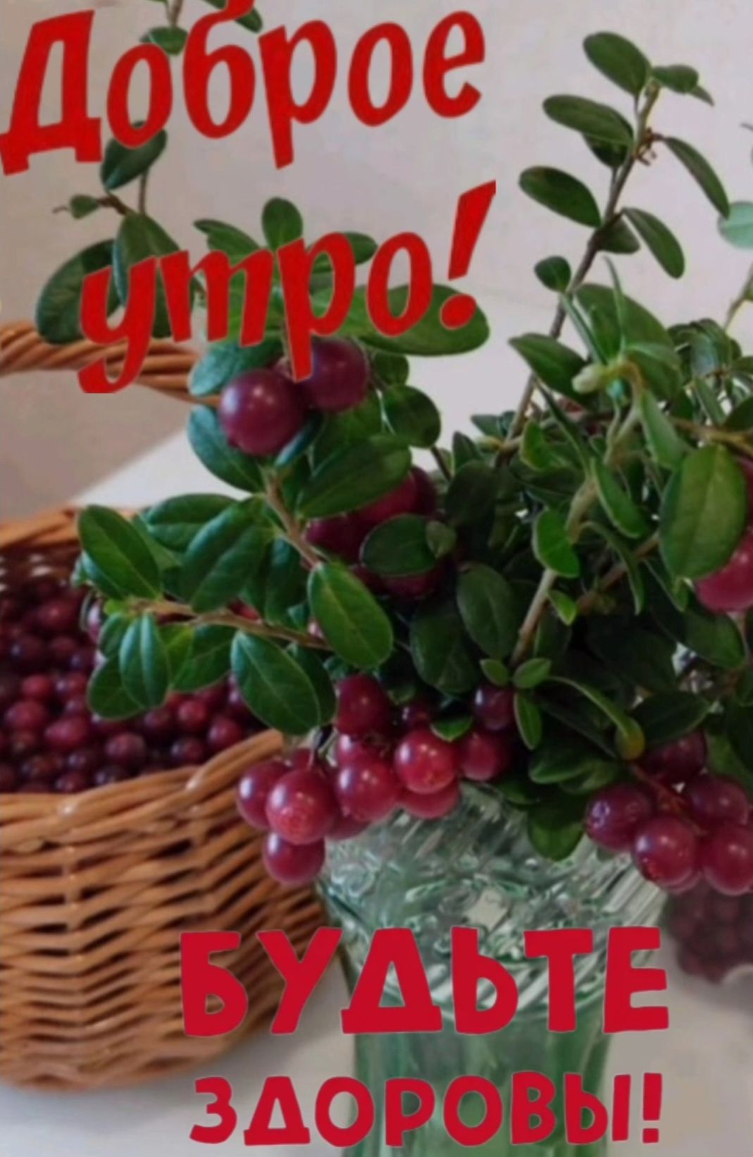 Доброе утро! Будьте здоровы!