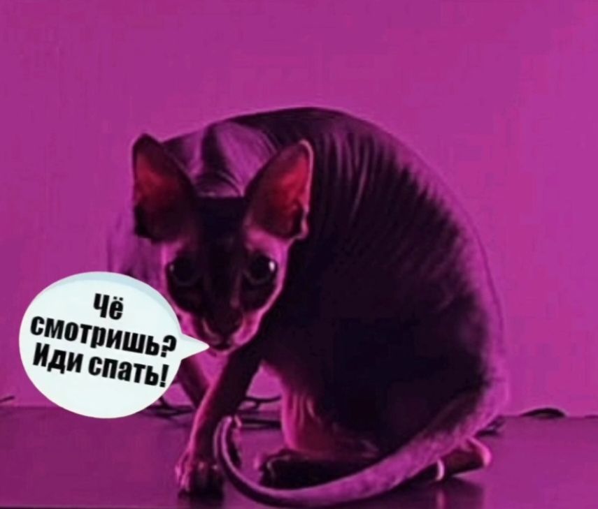 Чё смотришь? Иди спать!