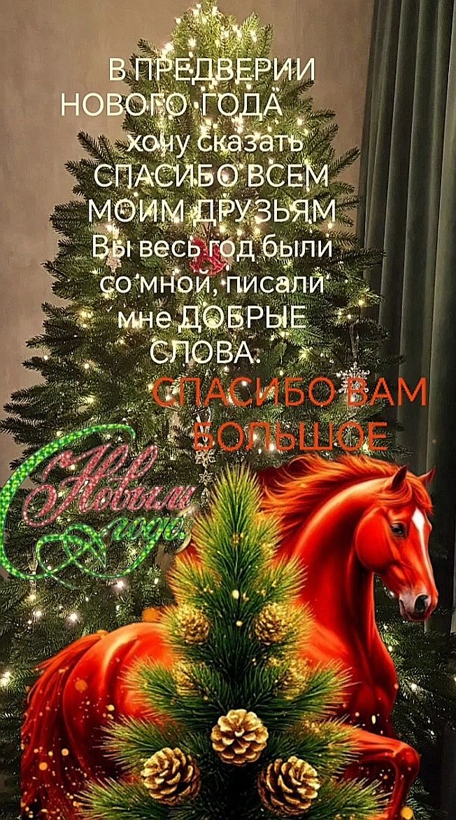 В преддверии нового года хочу сказать спасибо всем моим друзьям Вы весь год были со мной, писали мне добрые слова СПАСИБО ВАМ БОЛЬШОЕ