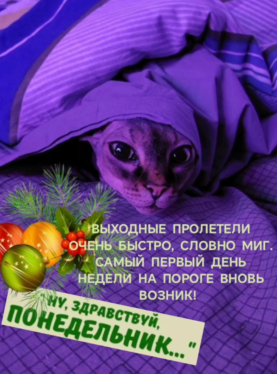 выходные пролетели очень быстро, словно миг. самый первый день недели на порог вновь возник! Ну, здравствуй, понедельник...