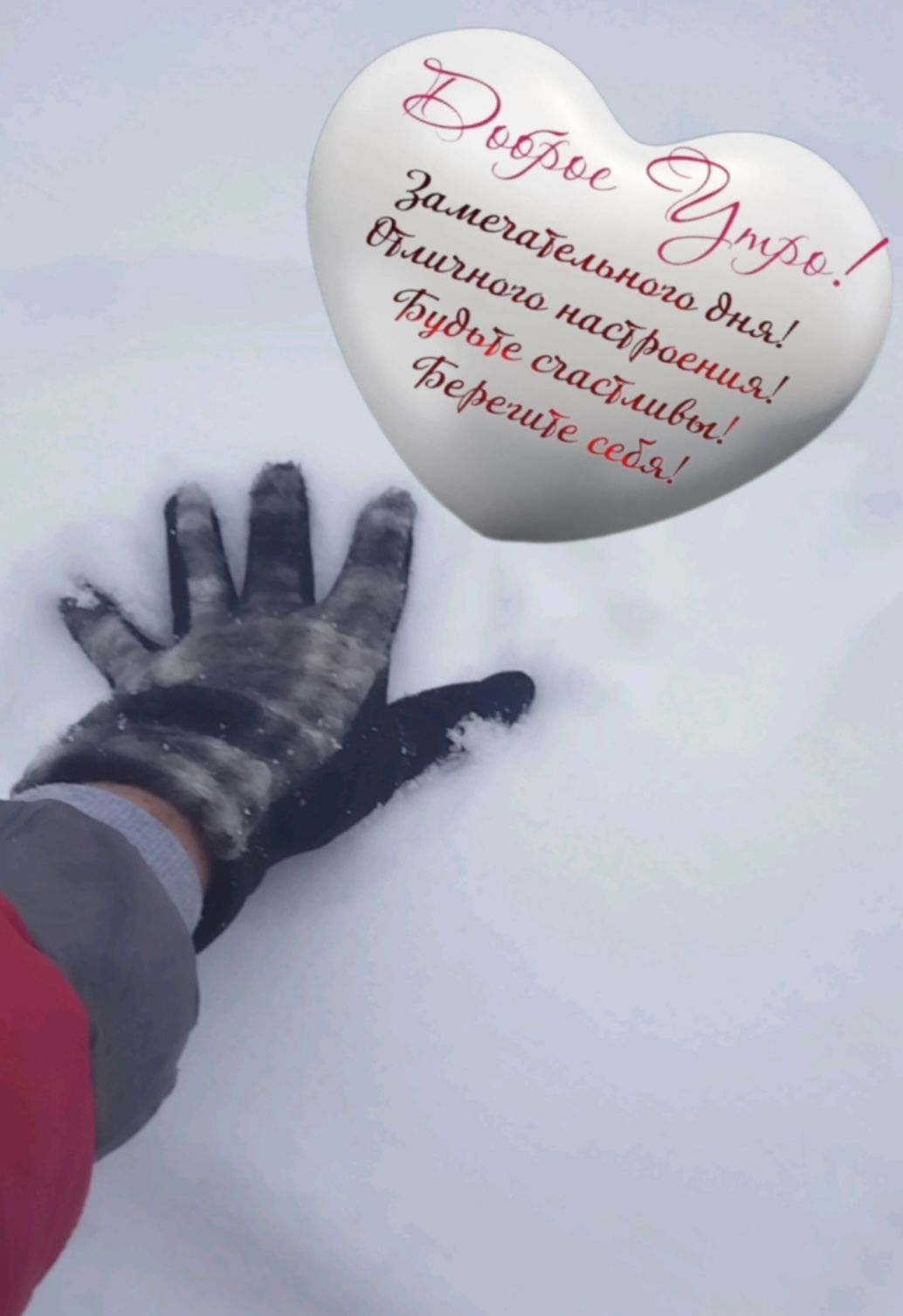 Доброе Друж! Замечательного дня! Отличного настроения! Будьте счастливы! Берегите себя!