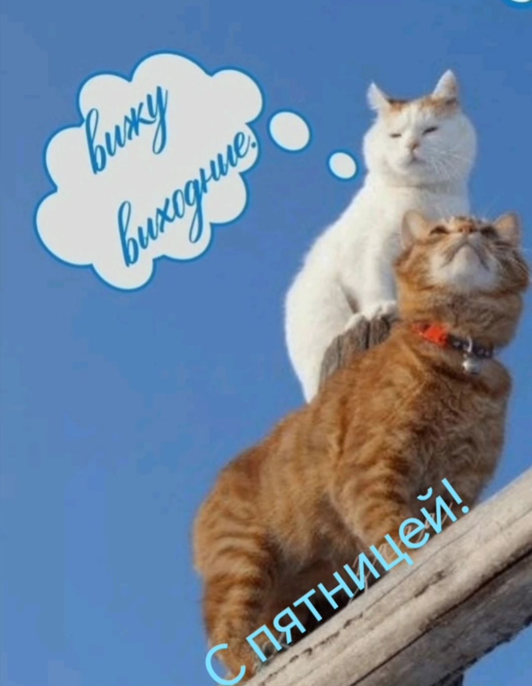 будь выходные. С пятницей!