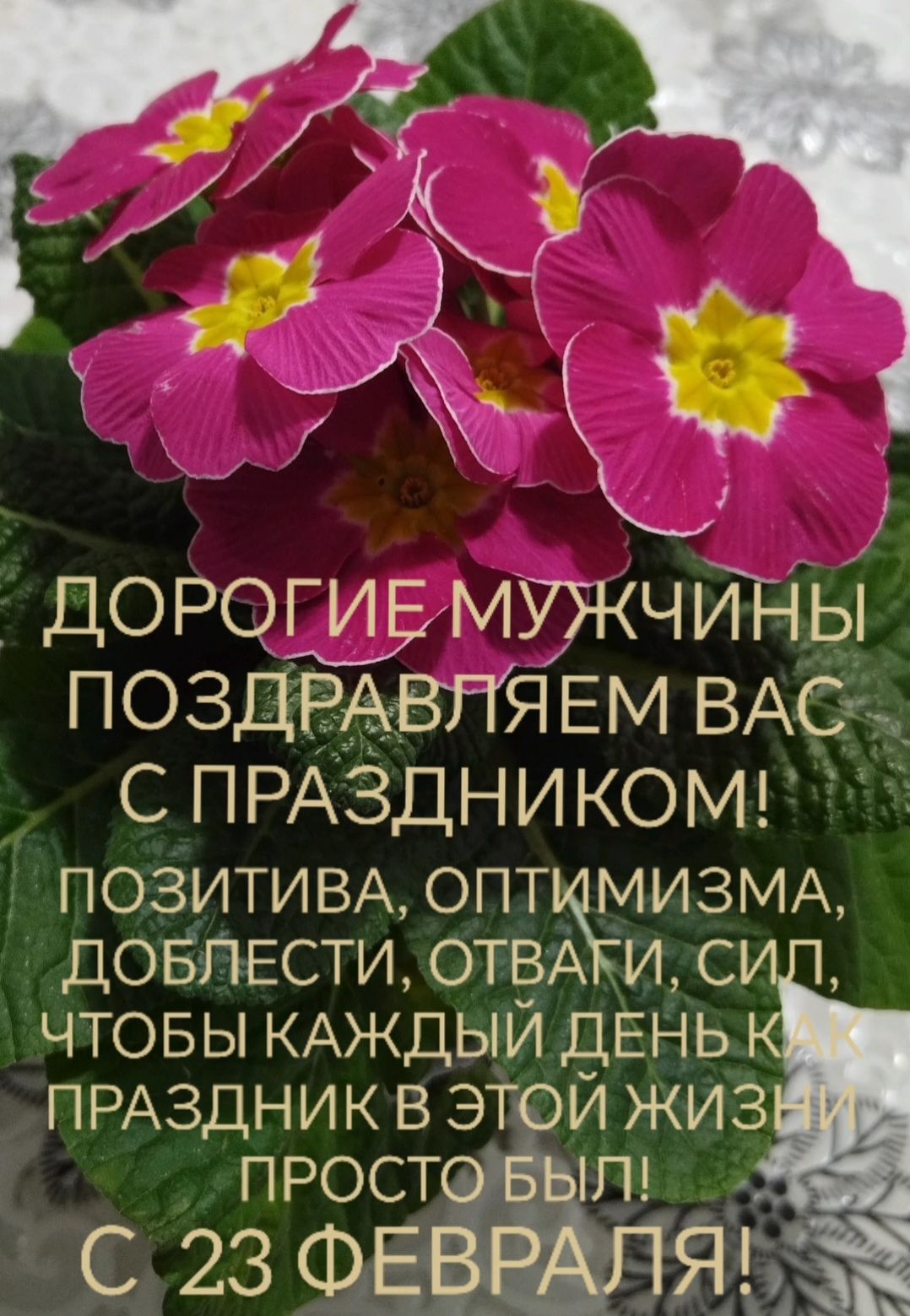 ДОРОГИЕ МУЖЧИНЫ ПОЗДРАВЛЯЕМ ВАС С ПРАЗДНИКОМ! ПОЗИТИВА, ОПТИМИЗМА, ДОБЛЕСТИ, ОТВАГИ, СИЛ, ЧТОБЫ КАЖДЫЙ ДЕНЬ КАК ПРАЗДНИК В ЭТОЙ ЖИЗНИ ПРОСТО БЫЛ! С 23 ФЕВРАЛЯ!