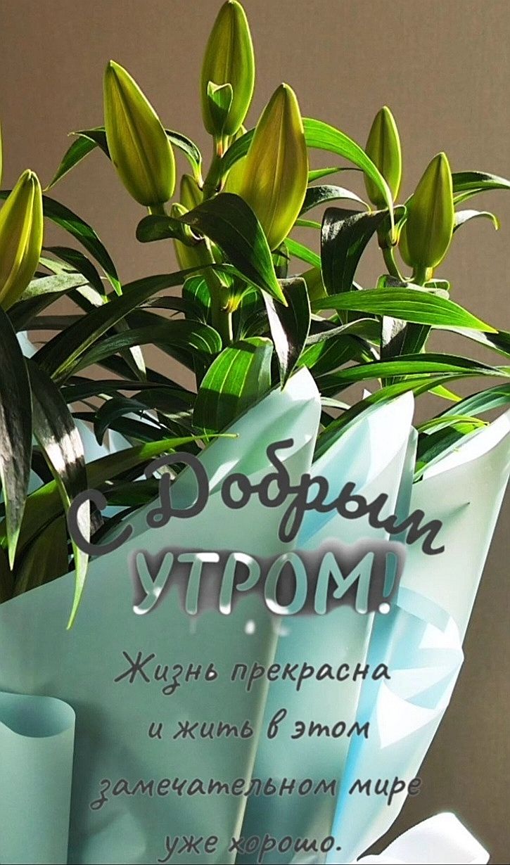 С Добрым утром! Жизнь прекрасна и жить в этом замечательном мире уже хорошо.