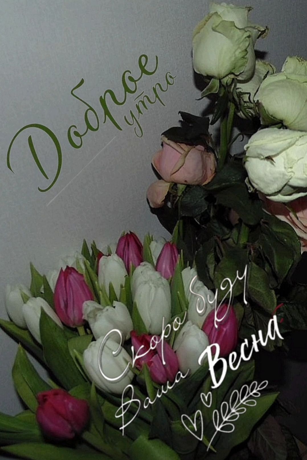 Доброе утро
С любовью Весна