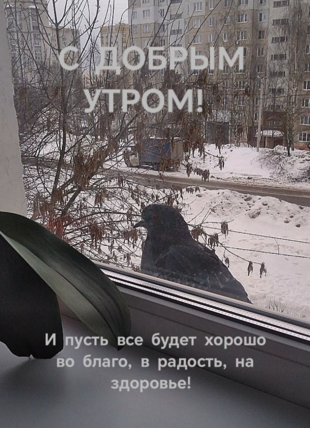 С ДОБРЫМ УТРОМ! и пусть все будет хорошо во благо, в радость, на здоровье!