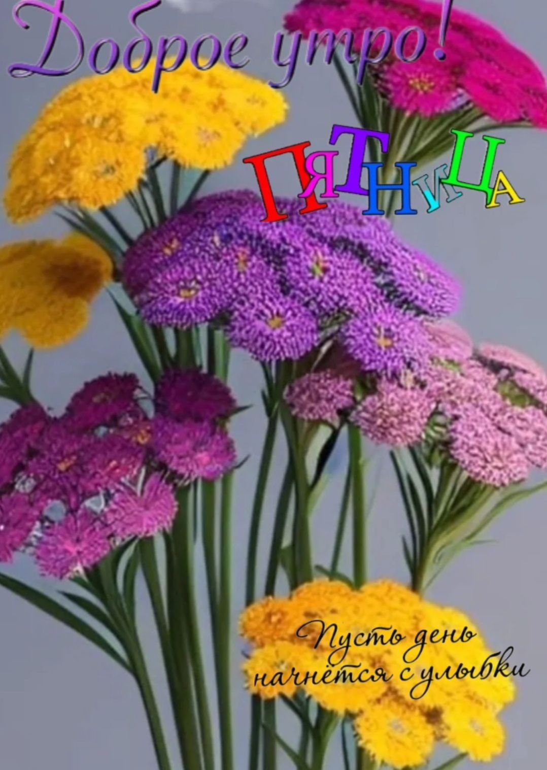 Доброе утро! ПЯТНИЦА Пусть день начнется с улыбки