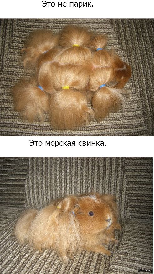 Это не пари