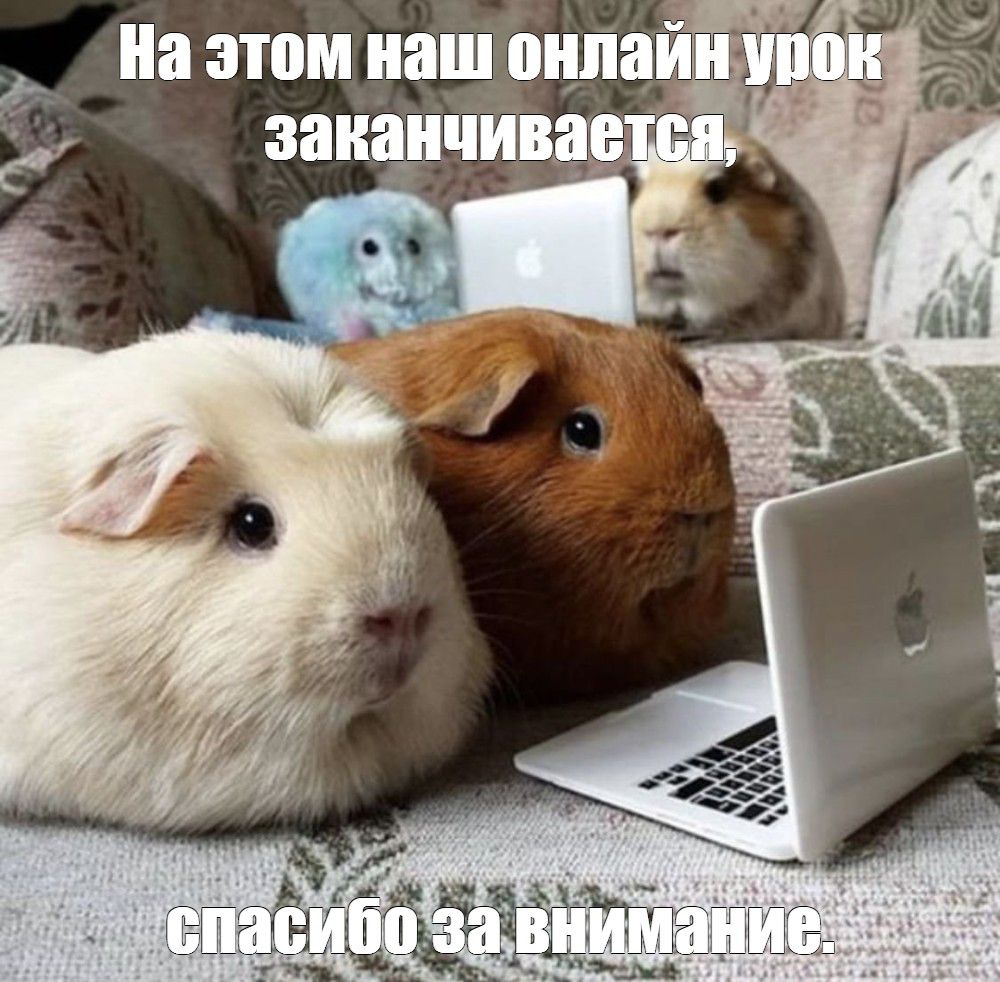 На этом наш пнпаи