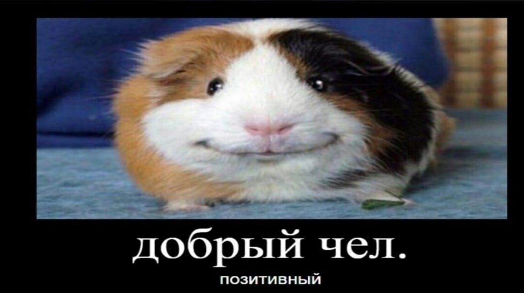добрый чел машинный