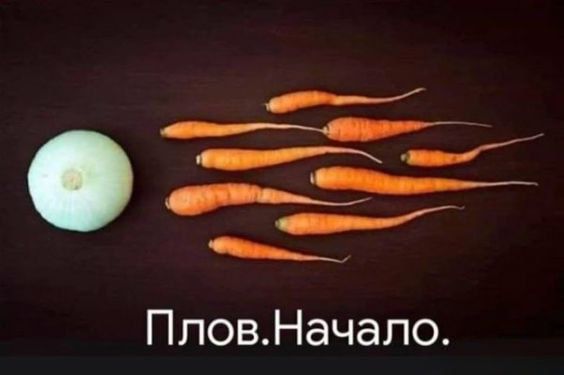 и и п ПловНачало