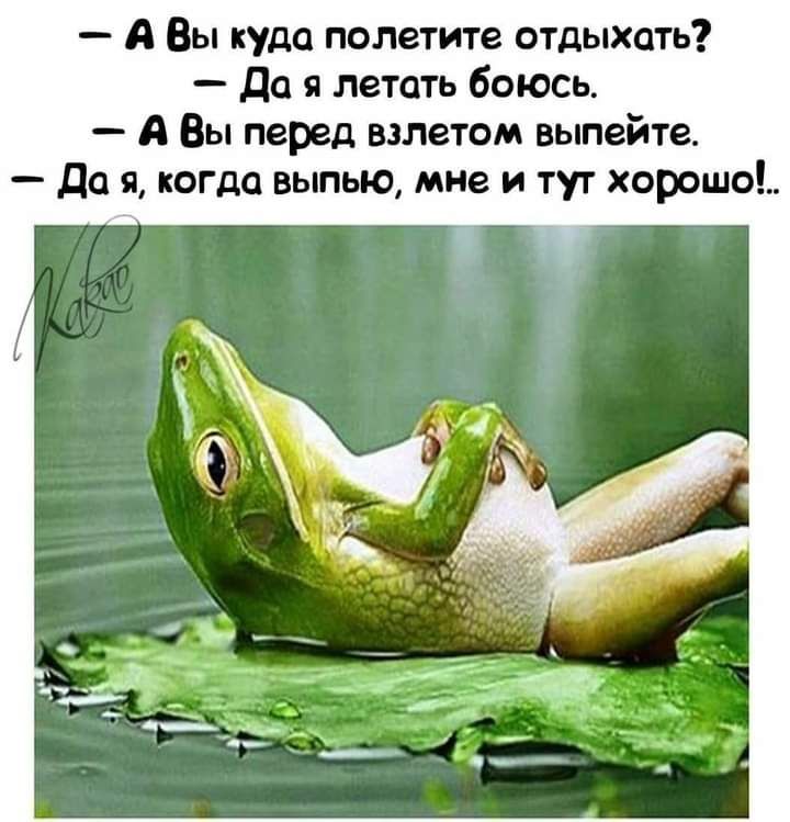А Вы куда полетите отдыхать до я летать баюсь А Вы перед взлетом выпейте да я когда выпью мне и тут хороша