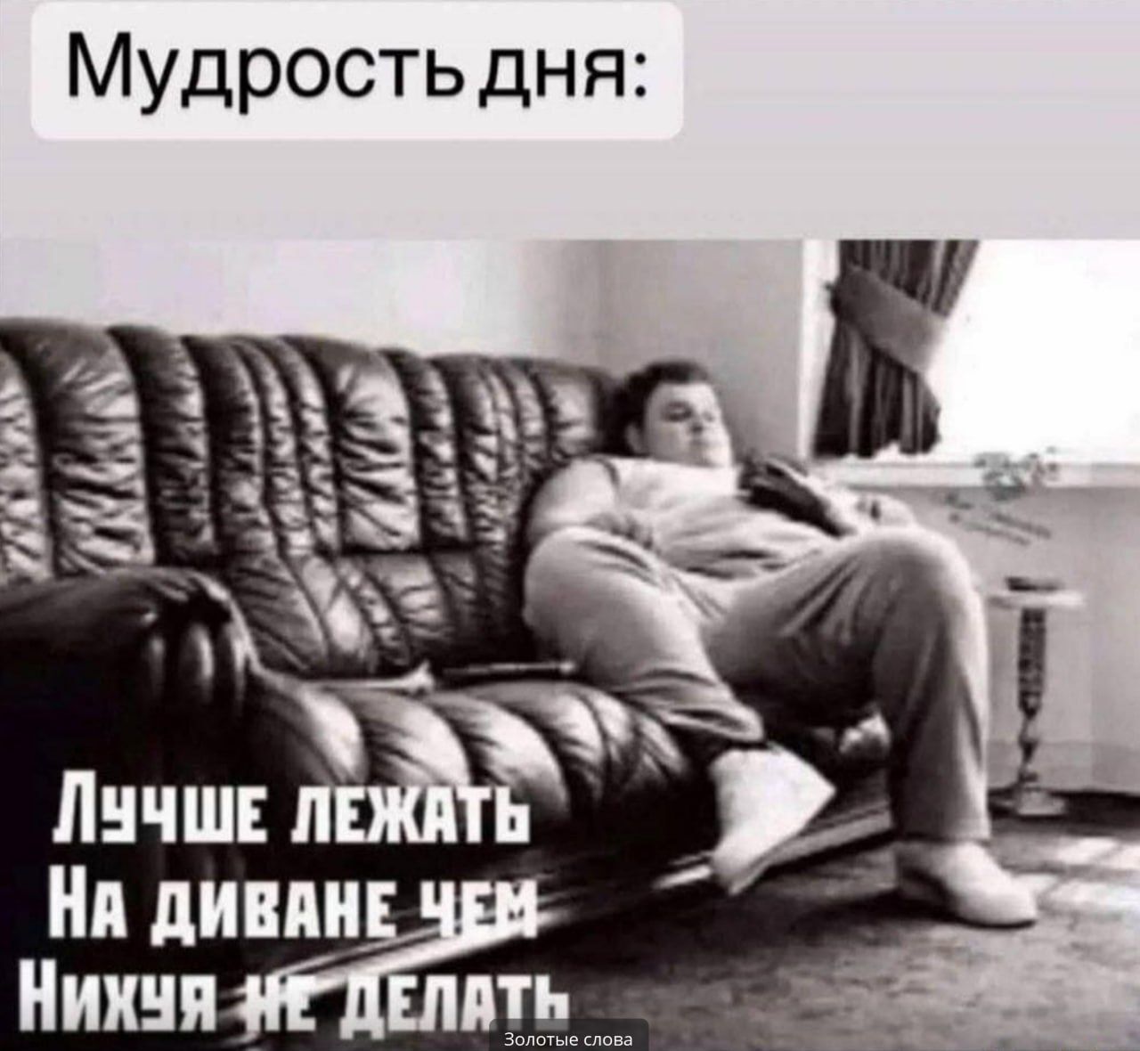 Мудрость дня