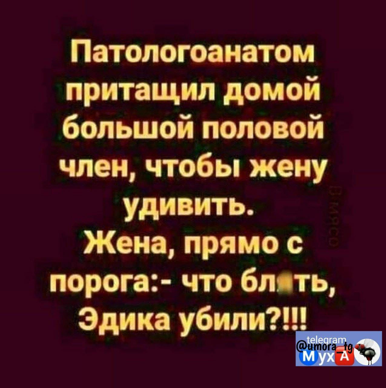 Патологоанатом притащил домой большой половой член чтобы жену удивить Жена прямо с порога что блять Эдика убили