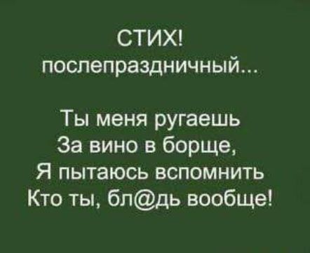 СТИХ поспепраздничный Ты меня ругаешь За вино в борще Я пытаюсь вспомнить Кто ты бпдь вообще