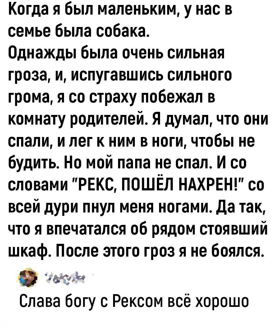 Когда я был маленьким у нас в семье была собака Однажды была очень сильная гроза и испугавшись сильного грома я со страху побежал в комнату родителей Я думал что они спали и лег к ним в ноги чтобы не будить Но мой папа не спал И со словами РЕКС ПОШЁЛ НАХРЕН со всей дури пнул меня ногами да так что я впечатался об рядом стоявший шкаф После этого гроз я не боялся на Слава богу с Рексом всё хорошо