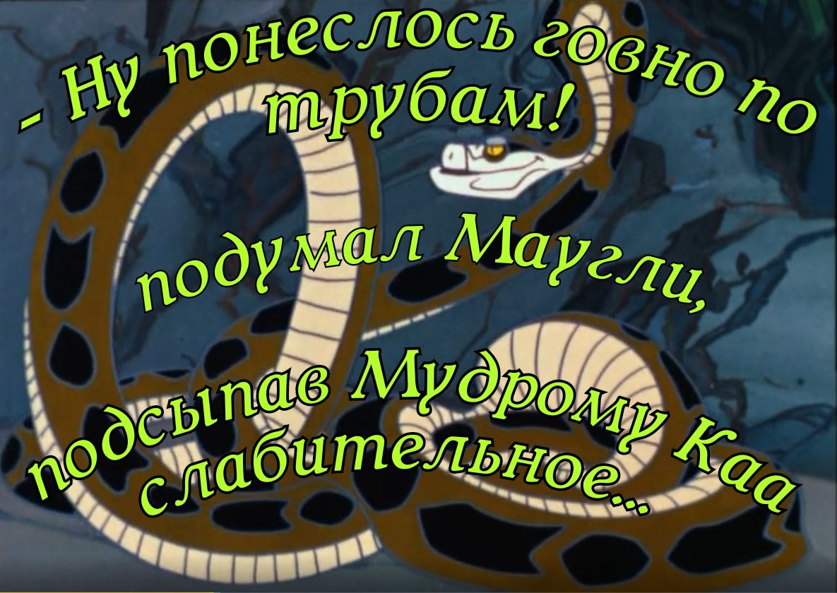 неслось В по аде У трубам о о оду л Марг711 дп 1пЁ6лМУдрщ 1 ител сд ЬНФЁООО