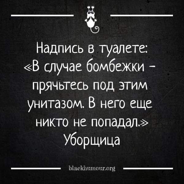 Надпись в туалете В случае бомбежки прячьтесь под этим унитазом В него еще никто не попадал Уборщица Ыаеиипопгога