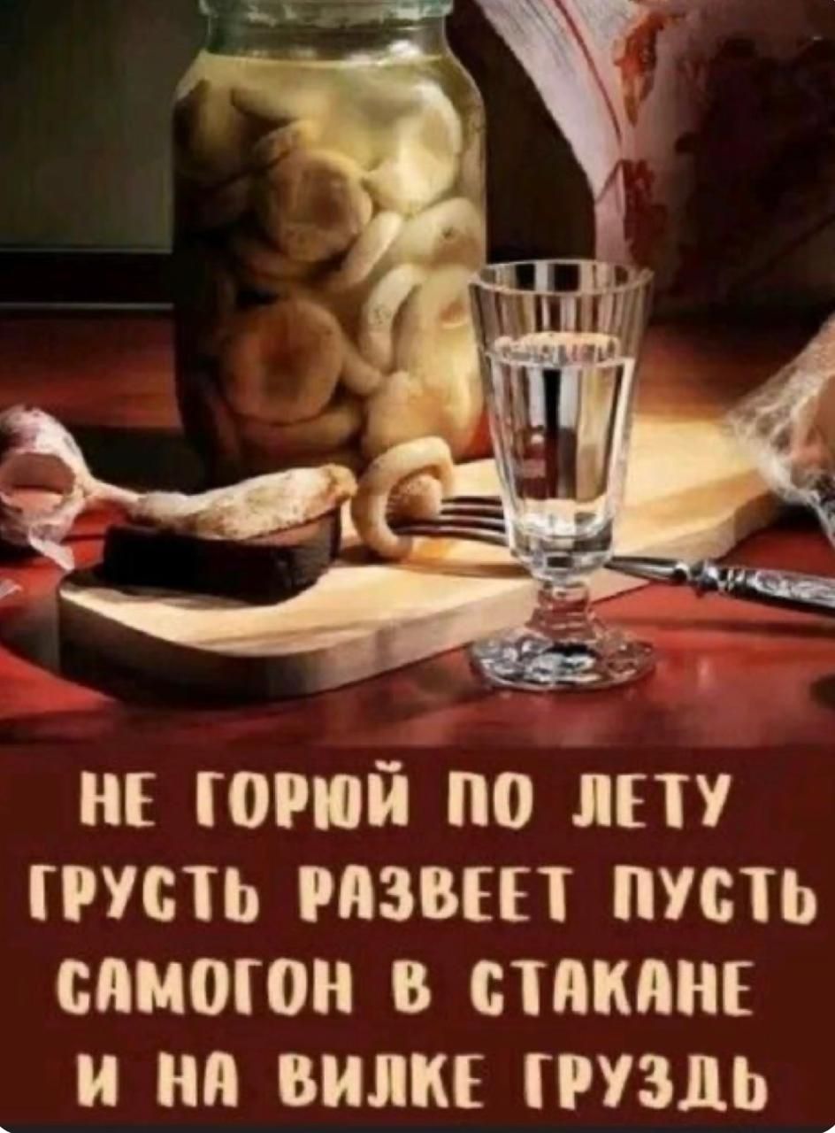 НЕ ГОРЮЙ ПО ЛЕТУ ГРУСТЬ РАЗВЕЕТ ПУСТЬ САМОГОН В СТАКАНЕ И НА ВИЛКЕ ГРУЗДЬ