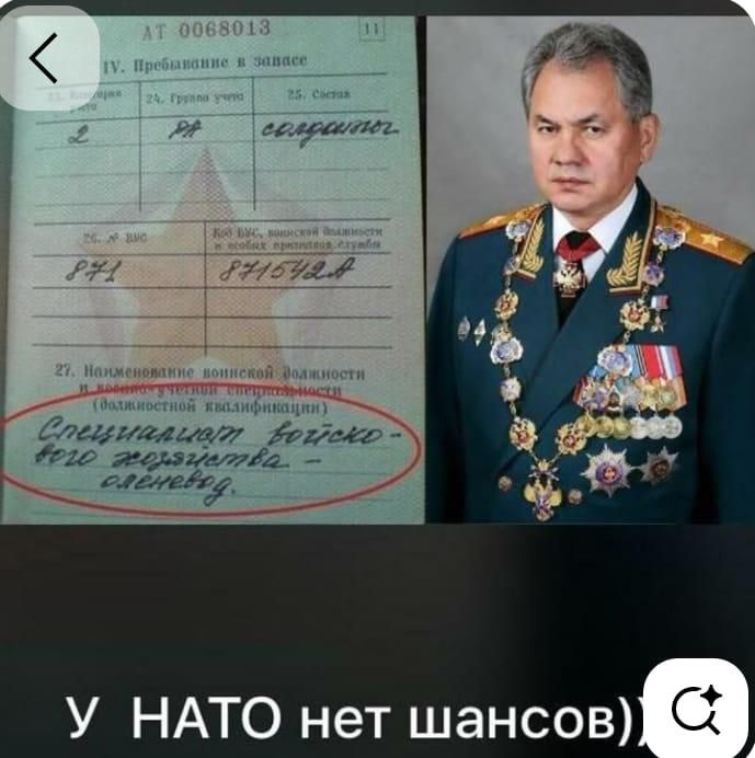 У NATO нет шансов.