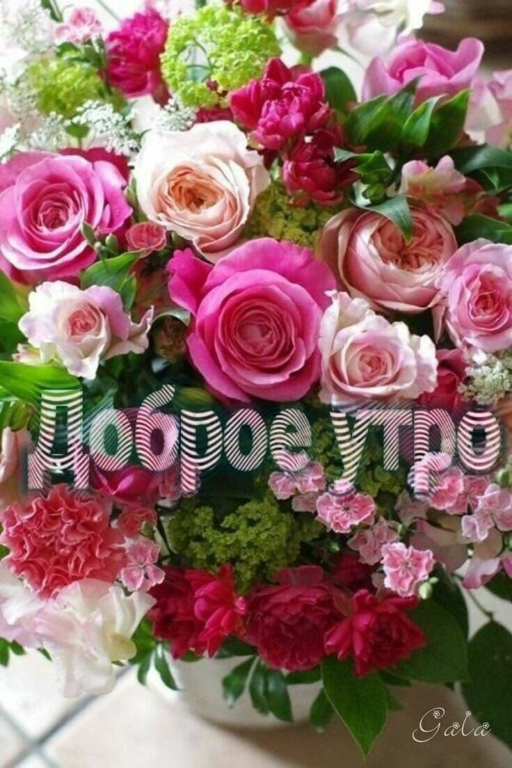 к тайный т _ Миа 9445 ёж ь Ёзмх